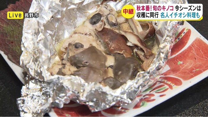 クリフウセンタケのホイル焼き