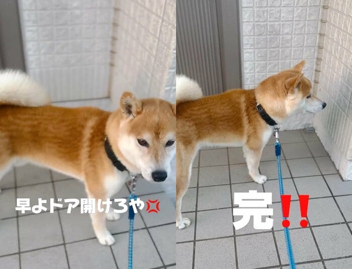 提供:556さん