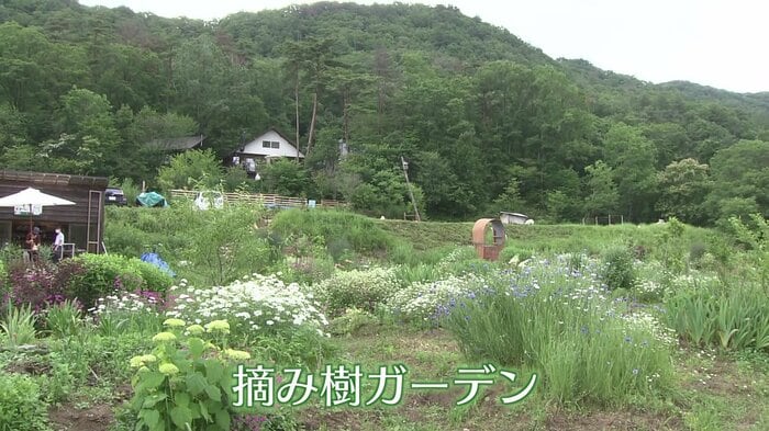 花畑「摘み樹ガーデン」