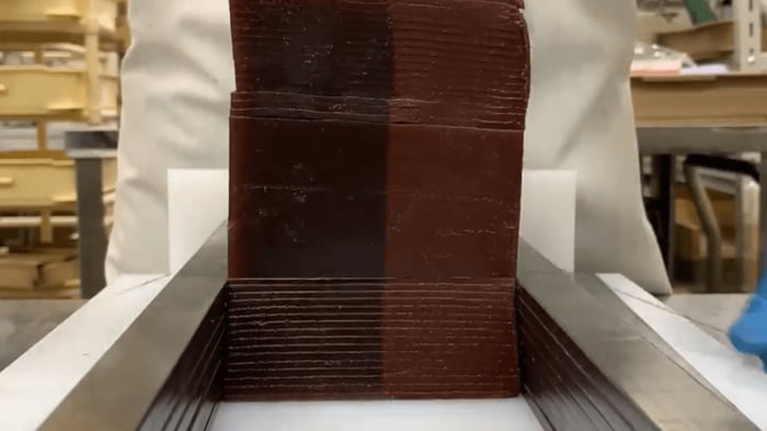 正面からの様子