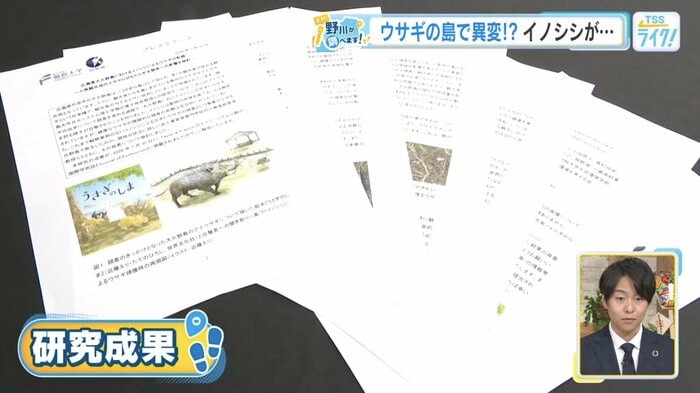福島大や呉高専などが発表した研究成果