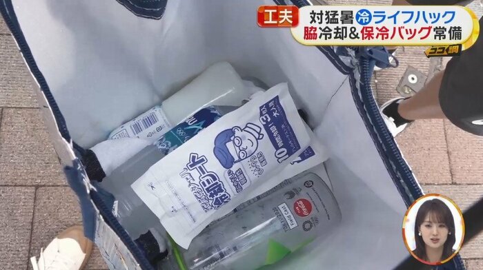 普段使いしているという保冷バッグ