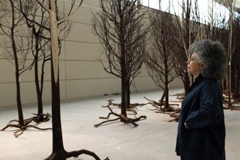 『根絶』2020-2022年804本の枯れ木と鉄Photo: Juan Fernando CastroCourtesy of Doris Salcedo Studio