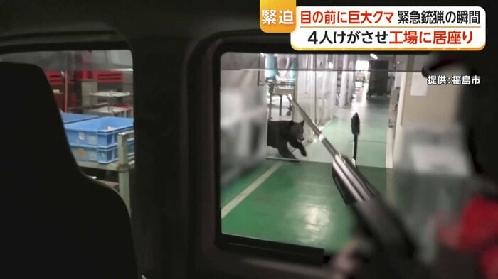廊下を横切るクマ