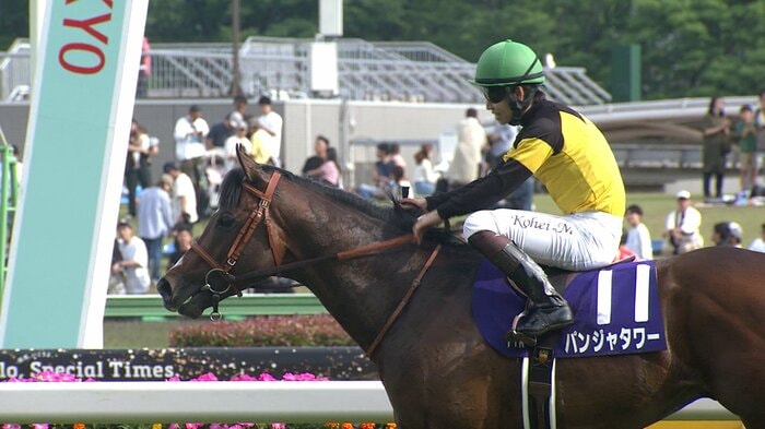 2025年の勝ち馬パンジャタワー