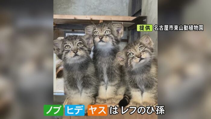 ニュースONE