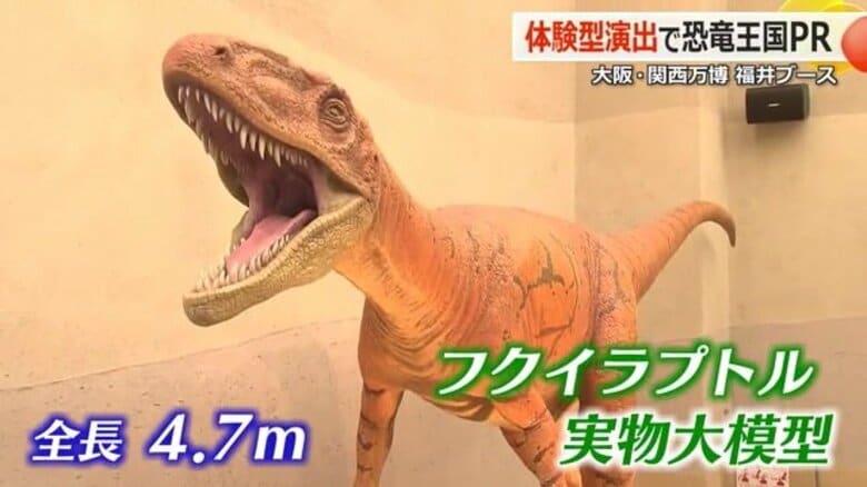 大阪・関西万博の「福井ゾーン」移設へ　フクイラプトル実物大模型や大型VRがおおい町「こども家族館」に　閉幕後も“恐竜王国”を発信｜FNNプライムオンライン
