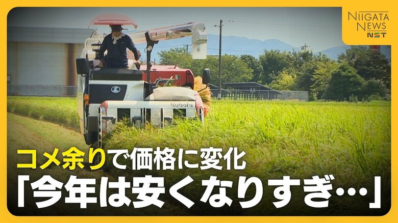 【新米】「今年は安くなりすぎ」例年の5倍の在庫抱える新潟の米店 新米価格は去年より約1000円安く…価格乱高下に生産者から不安の声も|FNNプライムオンライン
