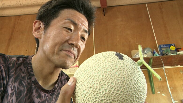 ”メロンの王様”がピンチ？　半世紀あまりで生産者は4分の1にまで減少　それでも新規就農者が少ないワケ　多額の初期投資がネックに｜FNNプライムオンライン