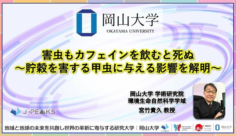 【岡山大学】害虫もカフェインを飲むと死ぬ～貯穀を害する甲虫に与える影響を解明～