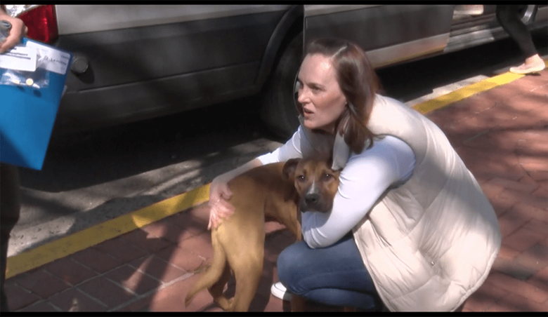 「ラッキー・ドッグ・アニマル・レスキュー」の保護犬猫譲渡会 米・バージニア州