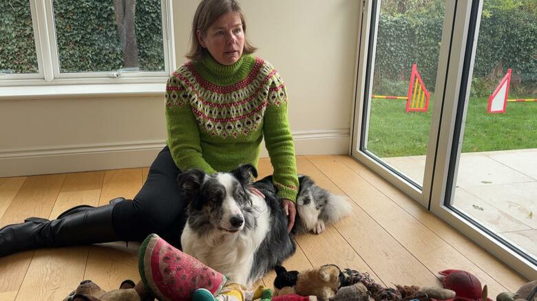 “スイカ”のぬいぐるみをくわえて戻ってきたハービーくん