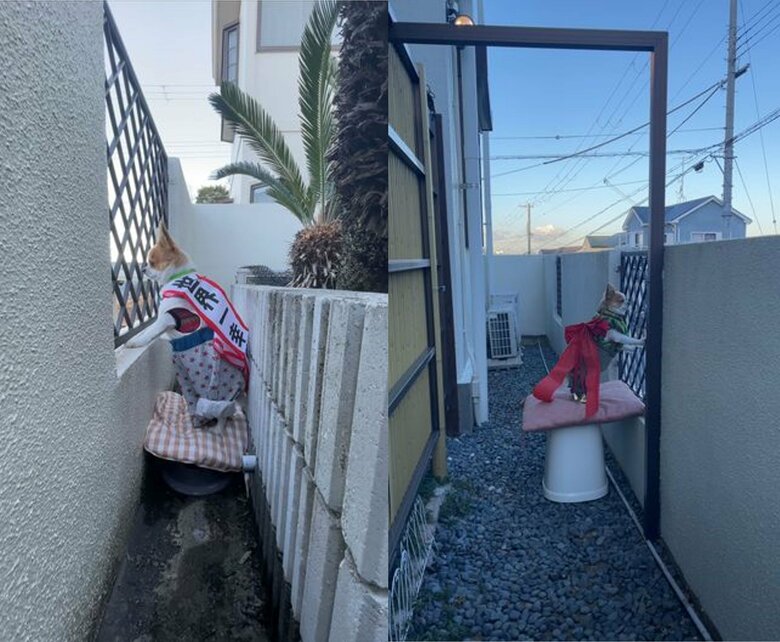 左：表庭　右：裏庭（提供：SORA/ちわわさん）