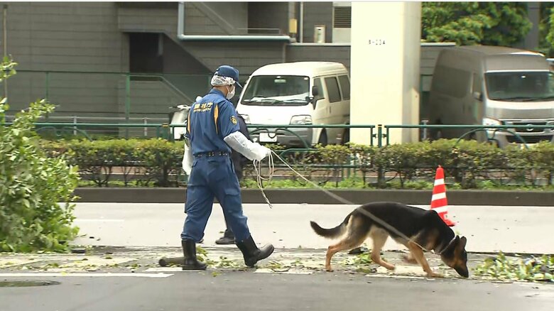 発生直後の現場の様子（東京・港区 2022年6月15日）