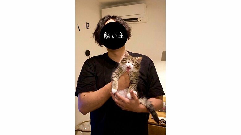 生後2カ月（提供：しろあんでっかい北欧猫さん）