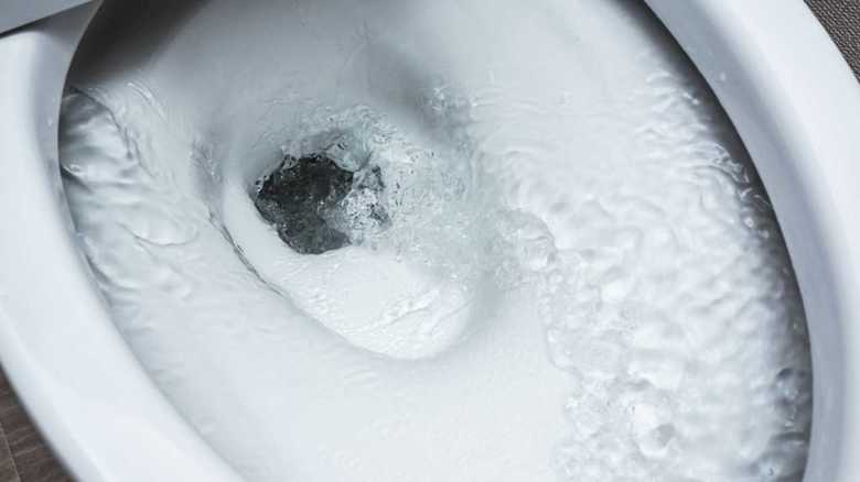 汚水が逆流?約4割が知らない大地震が起きたときのトイレ事情