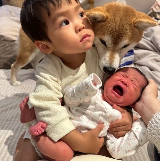 兄弟と愛犬・としこちゃん