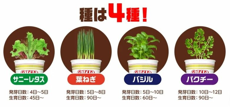 （日清食品公式サイトより）※画像はイメージ