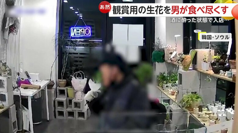 商品の草をムシャムシャと食べ始めた男