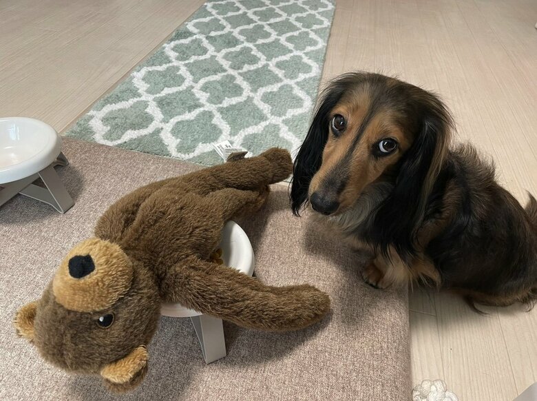 提供：るのんさん