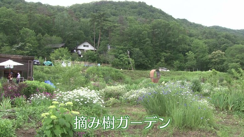 花畑「摘み樹ガーデン」