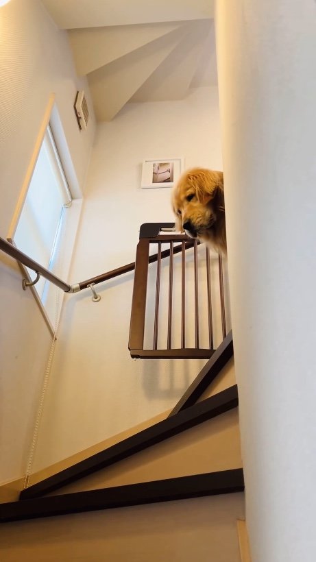 提供：efrinmanさん