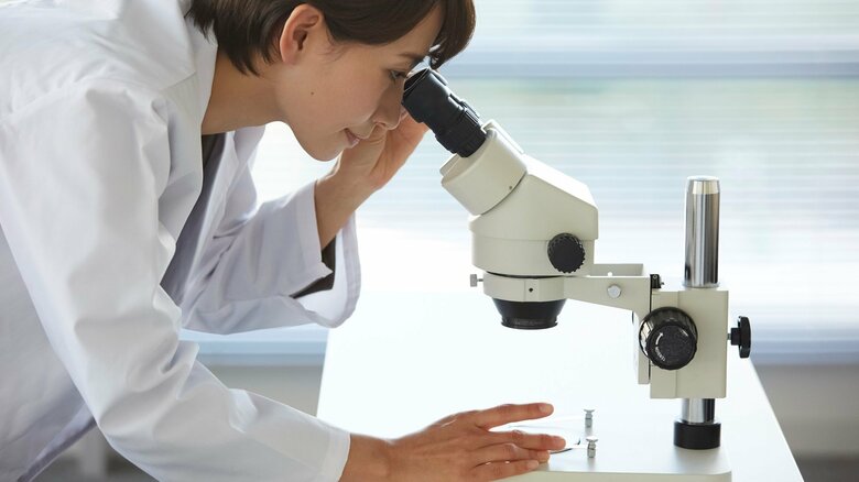 業界についての知見やスキルが大切に（画像はイメージ）