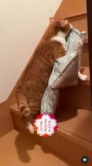 提供：赤瀬川和寿さん