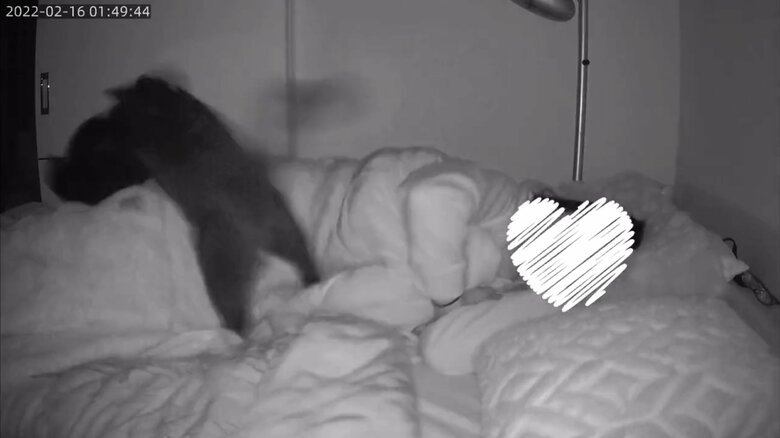 黒猫とOLさんは眠っていたそう