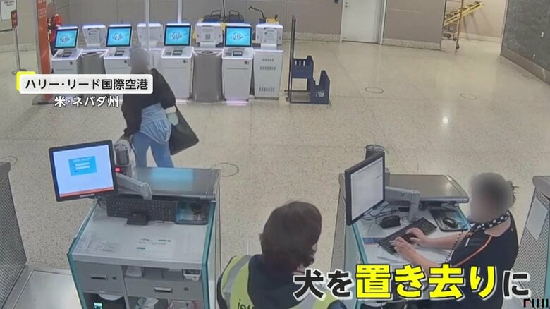 犬を置いて立ち去った女（LVMPO）