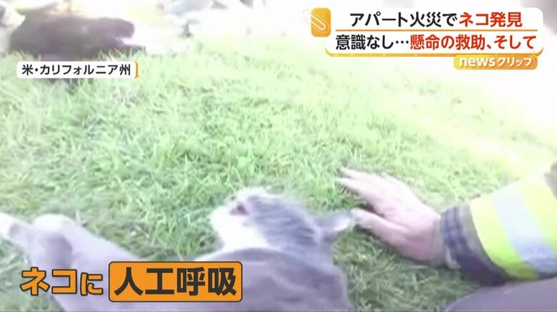 人工呼吸を試みる（CAL FIRE／Riverside County Fire Department）