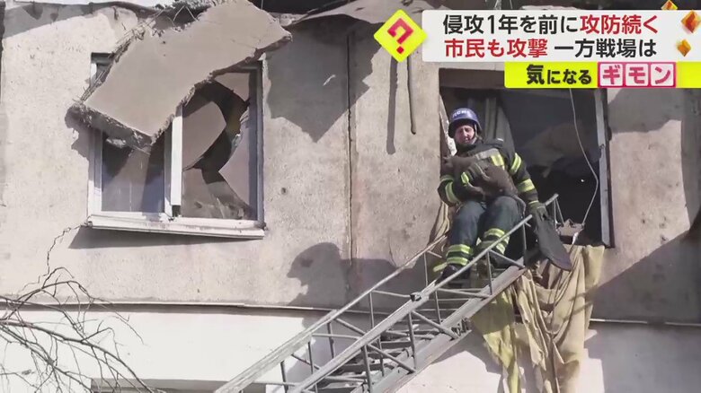 ミサイル攻撃を受けた現場からネコが救出される一部始終①
