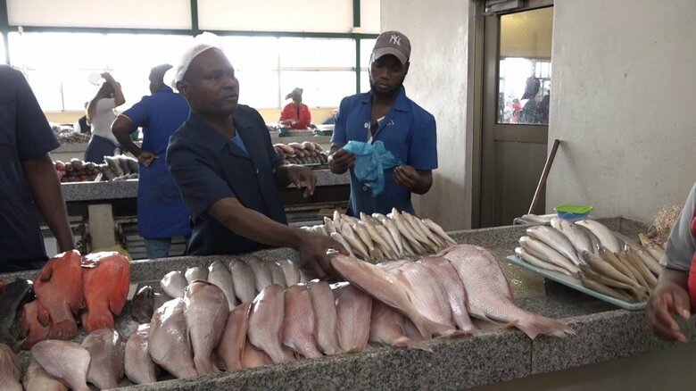 日本の支援で作られた魚市場（モザンビーク･マプト）