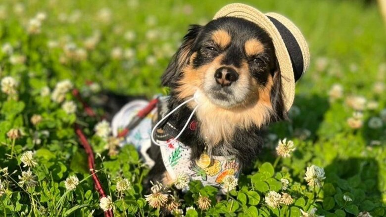 お散歩中の一枚