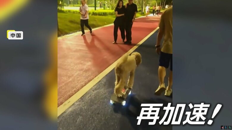 スケボーに乗る「来福」（中国SNSより）