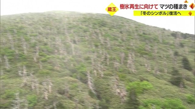 約2万3000本が枯死