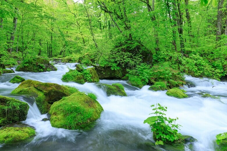 十和田八幡平国立公園の奥入瀬渓流の絶景
