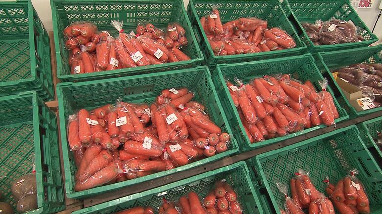 色鮮やかな「雪の下にんじん」