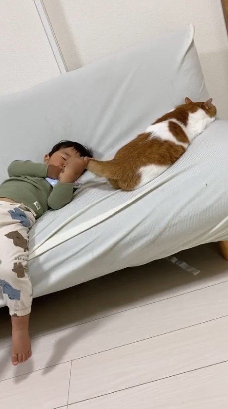 提供：Hassakuさん