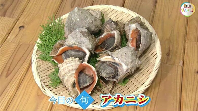 今が旬「アカニシ」