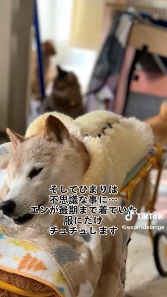 提供：エンとちぃさん