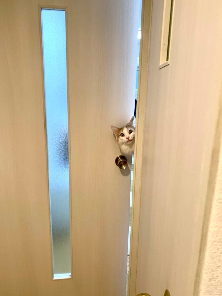 体が宙に浮いている!?