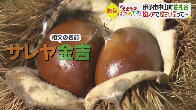 「金吉」は祖父の名前