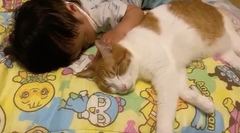 提供：Hassakuさん