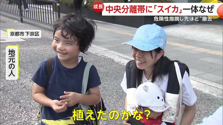 スイカの謎に興味津々の男の子