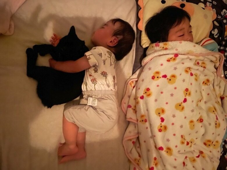 提供：ゴンゾウR4さん