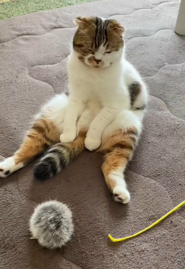 オモチャが壊れちゃった…