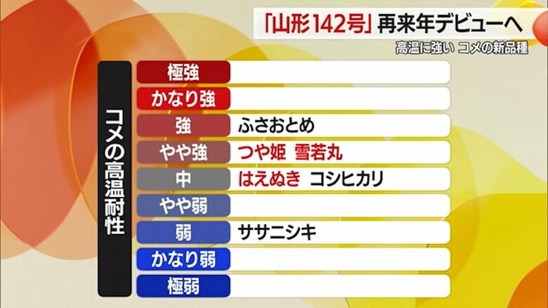 県内主力品種の「高温耐性」一覧