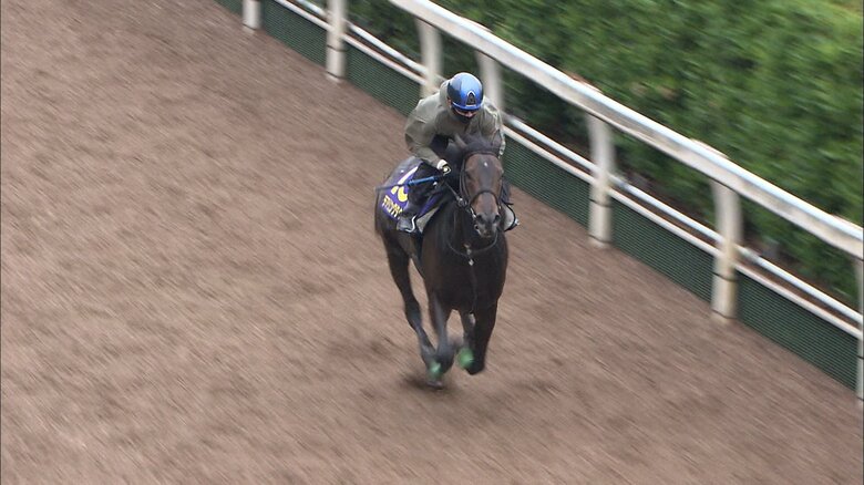 デアリングタクト