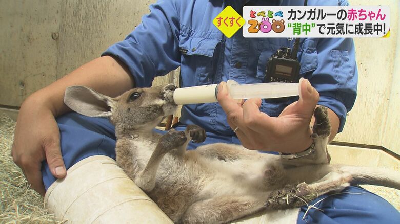 ジャンプ君にミルクを与える山﨑キーパー